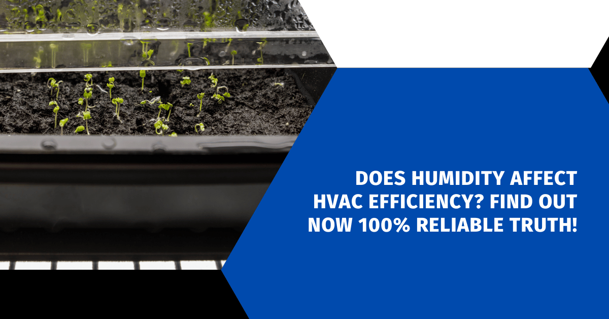 Does Humidity Affect HVAC Efficiency?