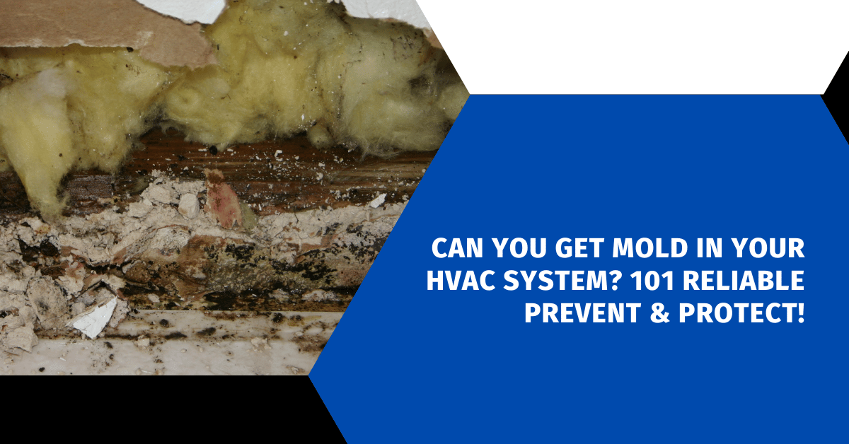 Can You Get Mold in Your HVAC System? 101 Reliable Prevent & Protect!