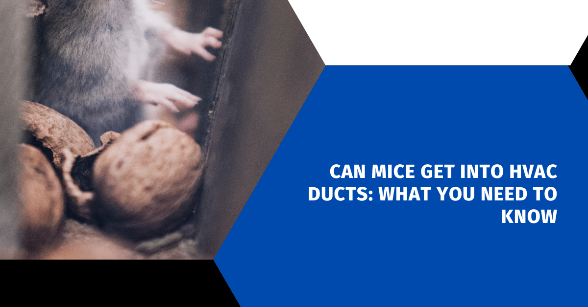 Can Mice Get Into HVAC Ducts: What You Need To Know