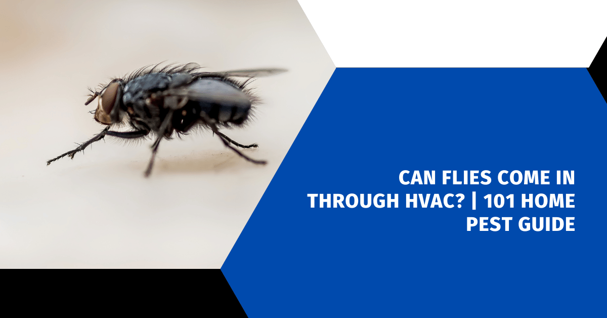 Can Flies Come In Through HVAC? | 101 Home Pest Guide