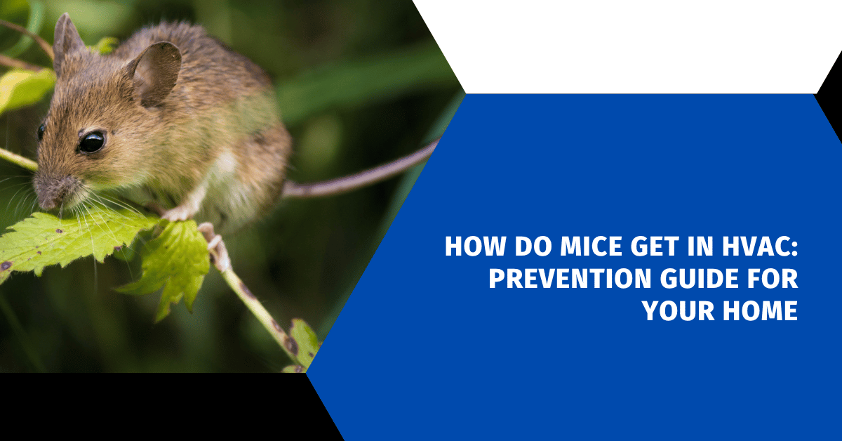 How Do Mice Get in HVAC: Prevention Guide for Your Home