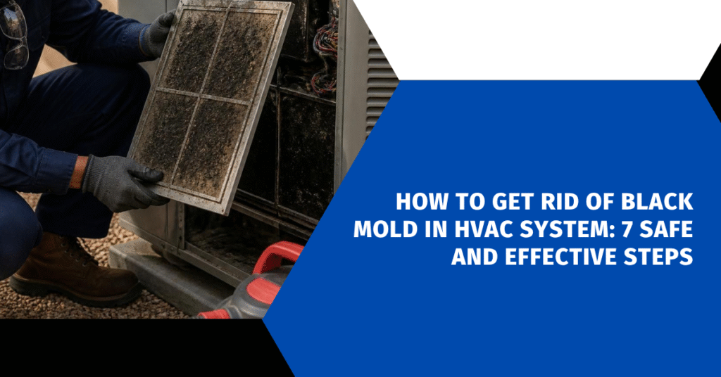 How to Get Rid of Black Mold in HVAC System: 7 Safe and Effective Steps